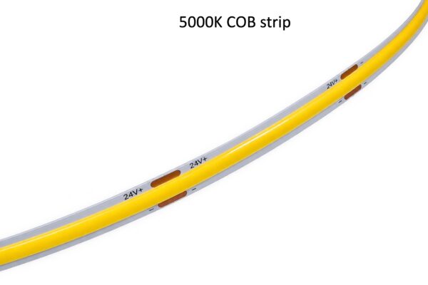 5000K